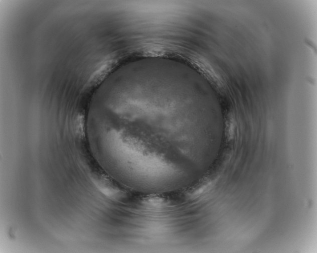 X0000095880598200801111135