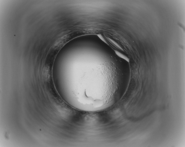 X0000095880599200801111135