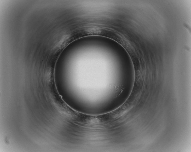 X0000095880600200801111135