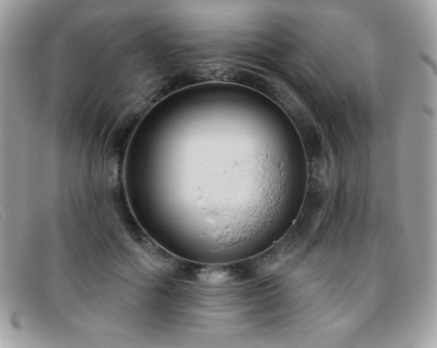 X0000095880602200801111135