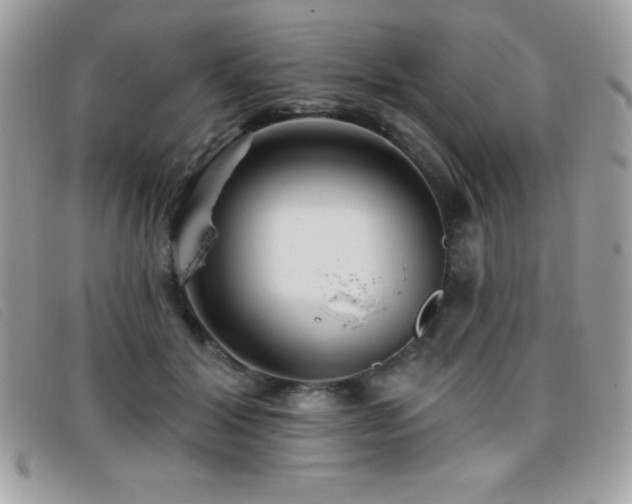 X0000095880604200801111135