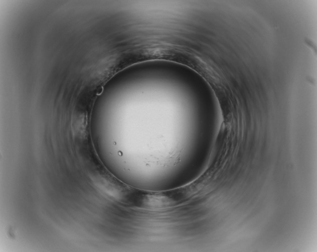X0000095880605200801111135