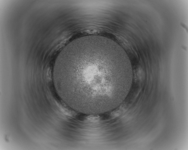 X0000095880606200801111135