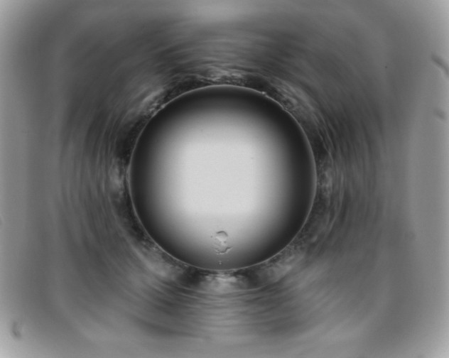 X0000095880607200801111135