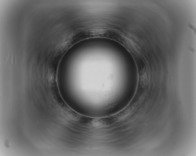 X0000095880608200801111135