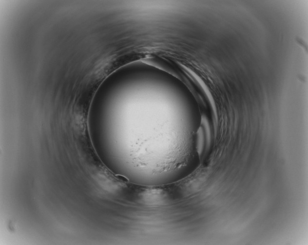 X0000095880609200801111135