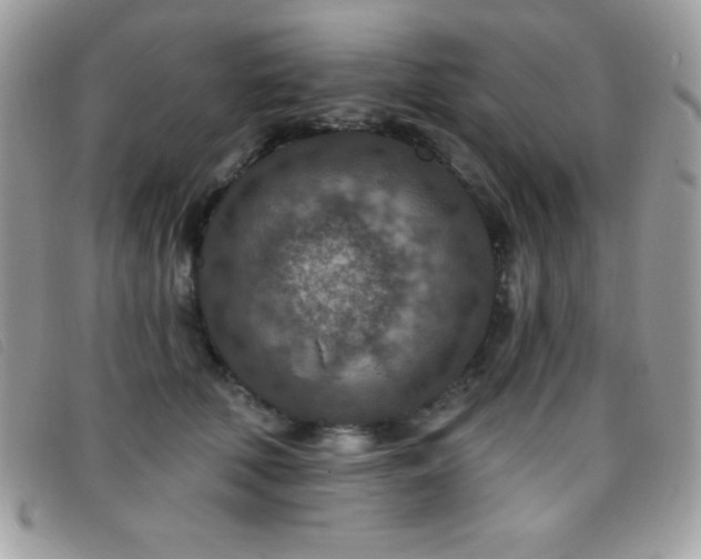 X0000095880610200801111135