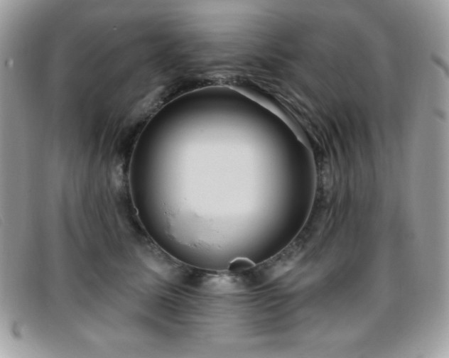 X0000095880611200801111135