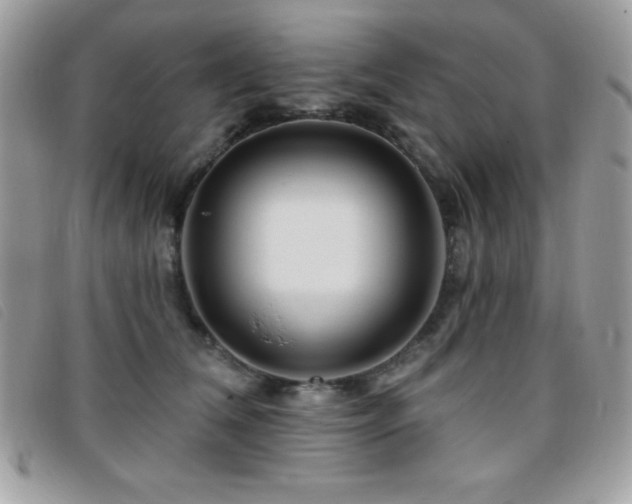 X0000095880612200801111135