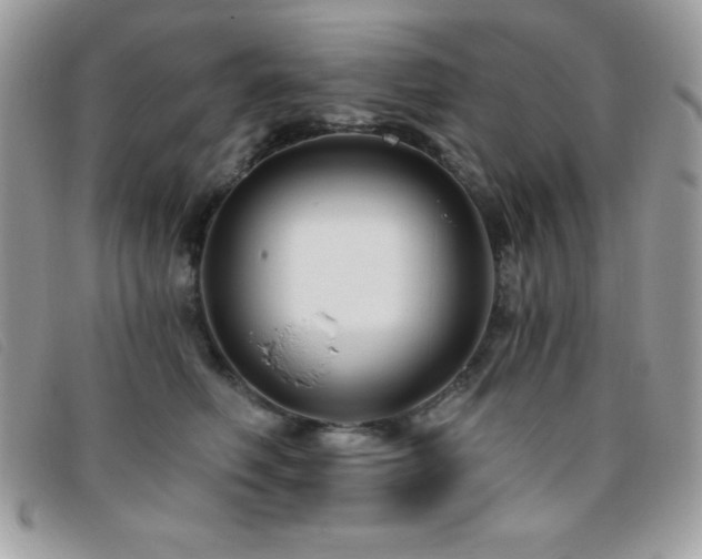 X0000095880614200801111135