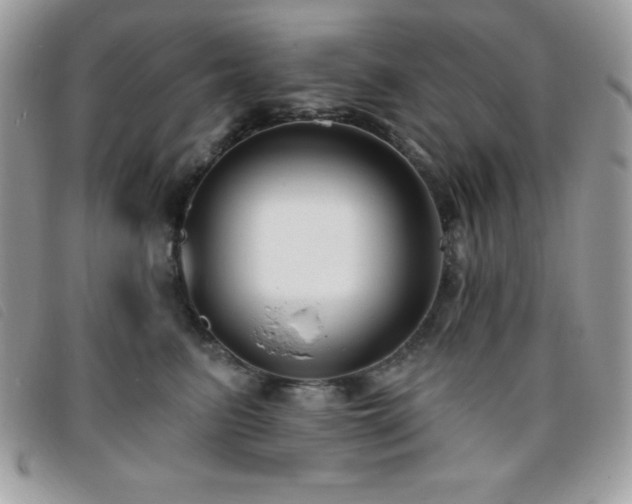 X0000095880615200801111135