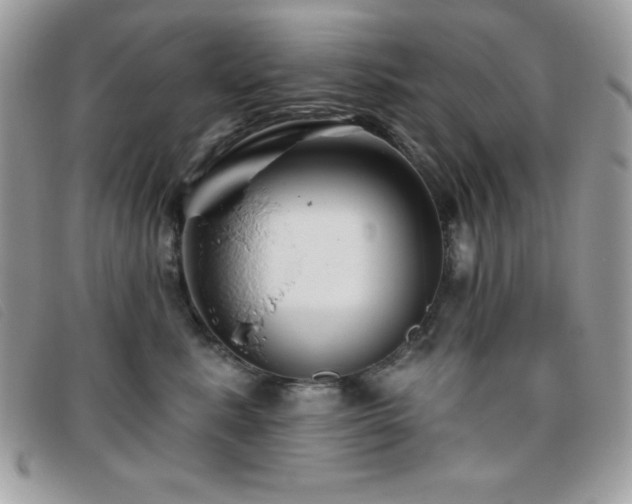 X0000095880619200801111135
