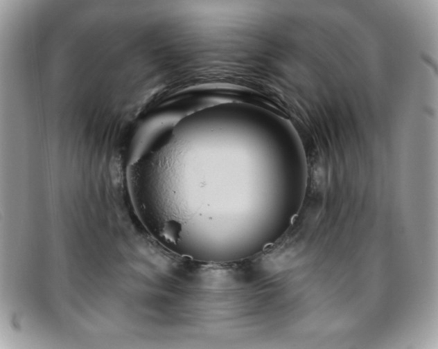X0000095880620200801111135