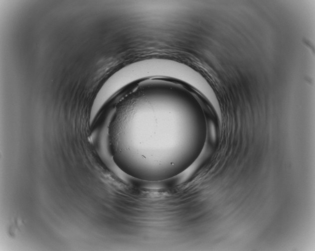 X0000095880621200801111135