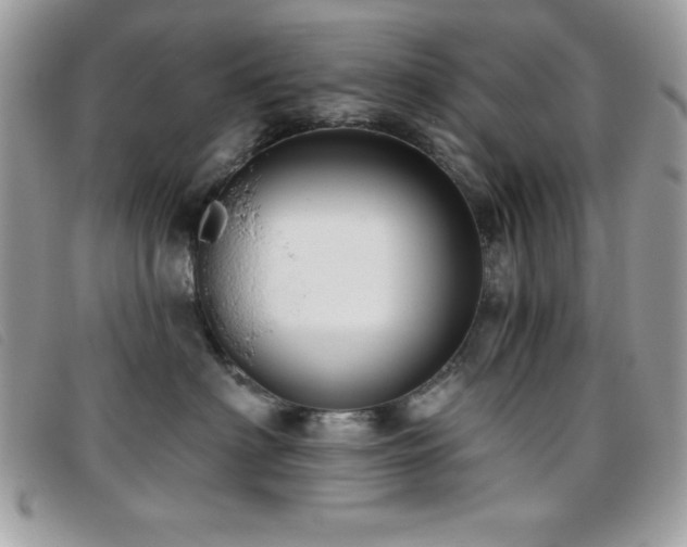 X0000095880622200801111135