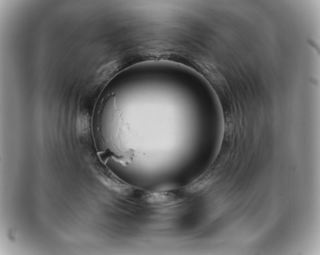 X0000095880623200801111135
