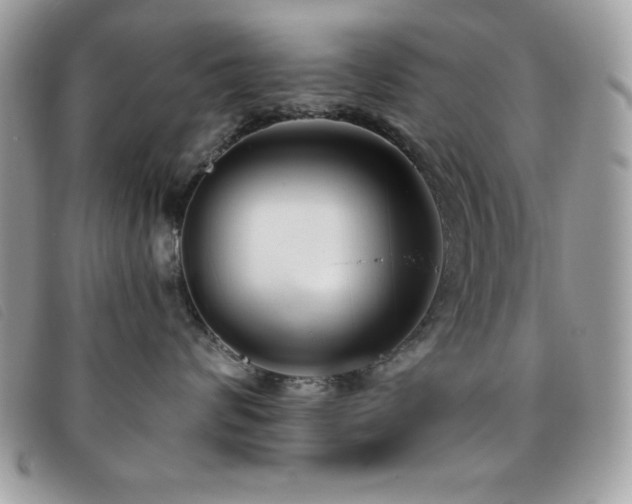 X0000095880624200801111135