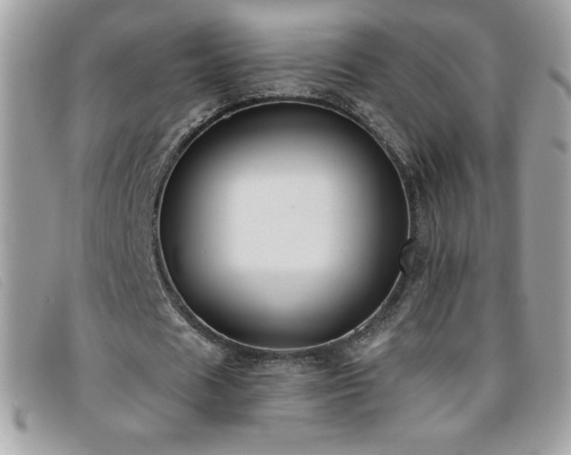 X0000095880625200801111134