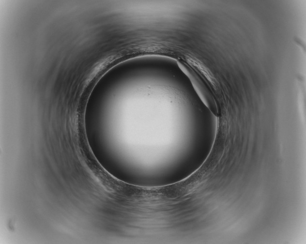X0000095880626200801111134
