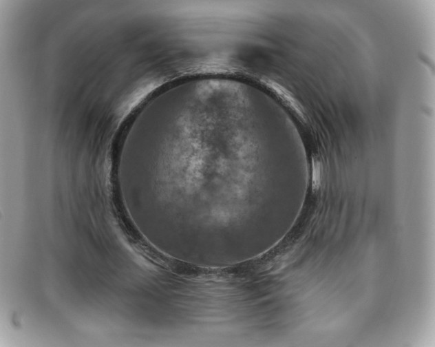 X0000095880627200801111134