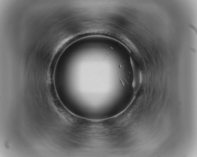 X0000095880628200801111134