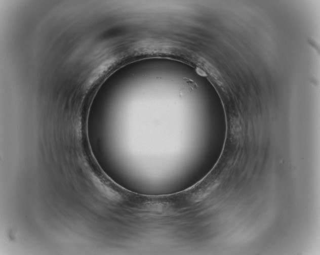 X0000095880629200801111134