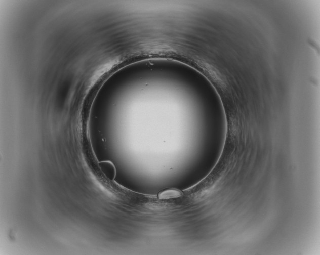 X0000095880630200801111134