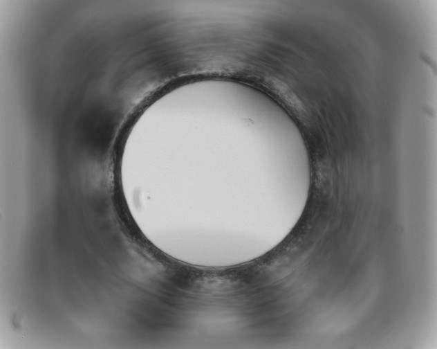 X0000095880632200801111134