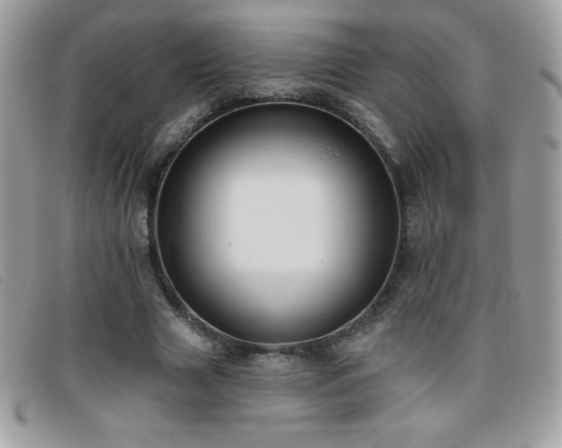X0000095880633200801111134