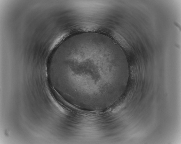 X0000095880634200801111134