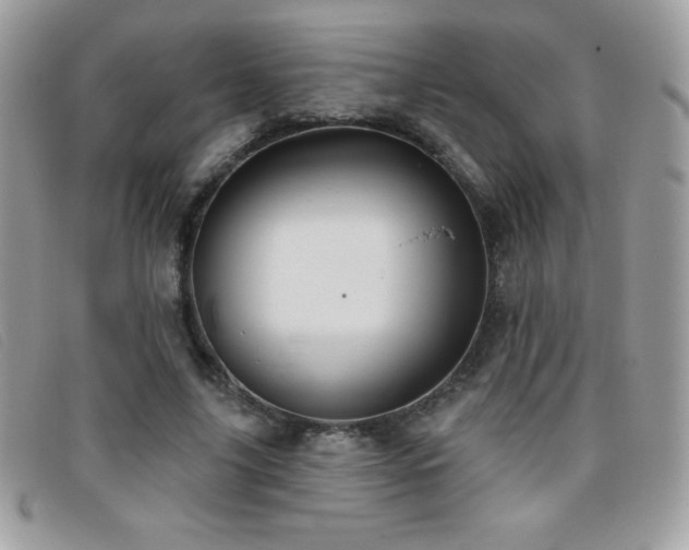 X0000095880635200801111134
