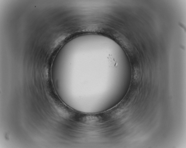 X0000095880636200801111134