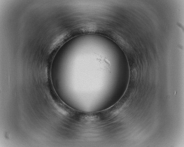 X0000095880638200801111134
