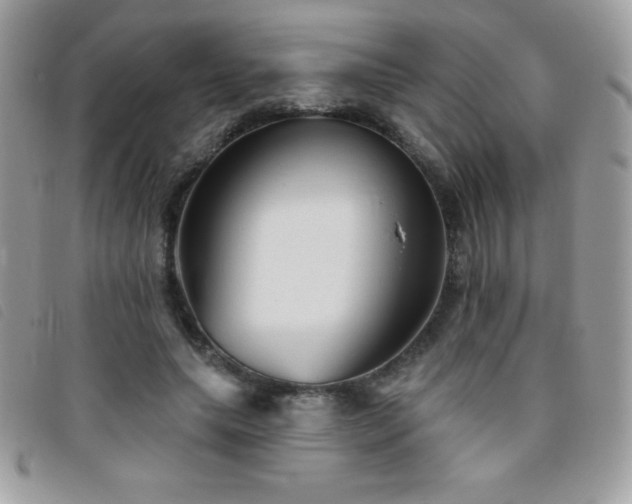 X0000095880639200801111134