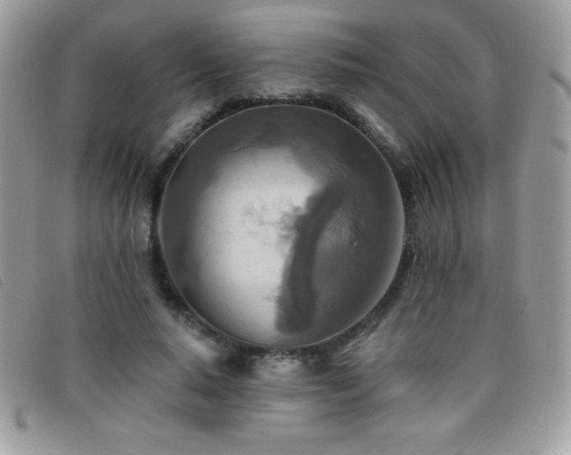 X0000095880640200801111134