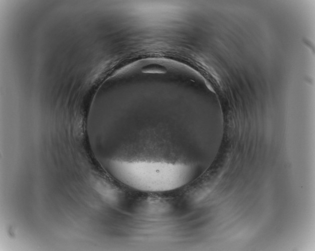 X0000095880641200801111134