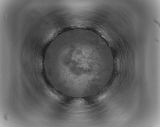 X0000095880642200801111134