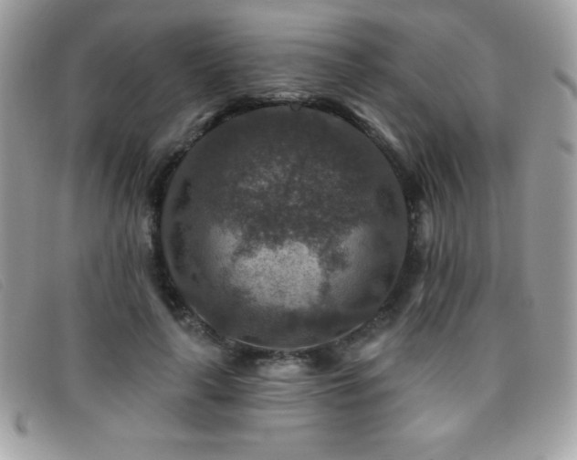 X0000095880643200801111134