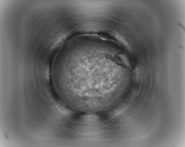 X0000095880644200801111134