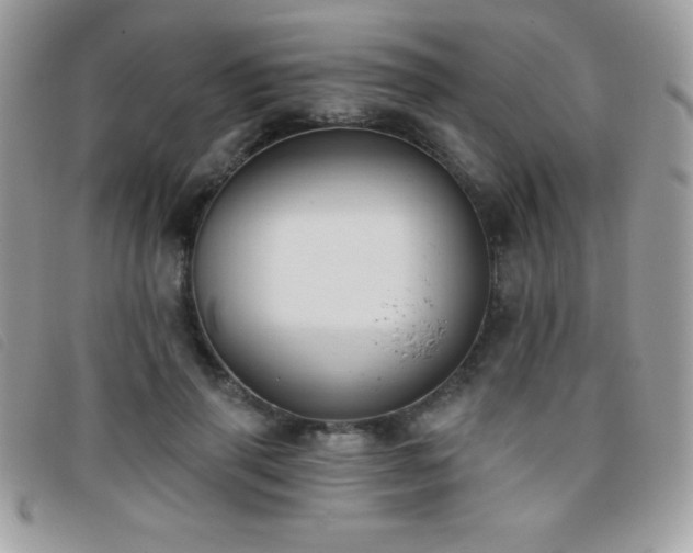 X0000095880645200801111134