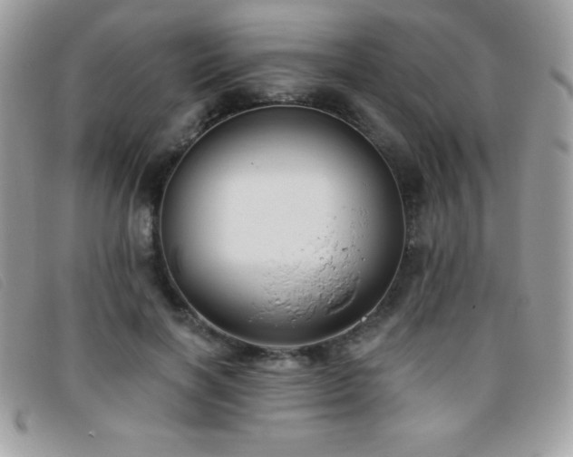 X0000095880646200801111134