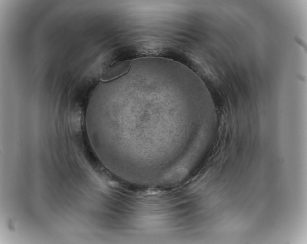 X0000095880647200801111134