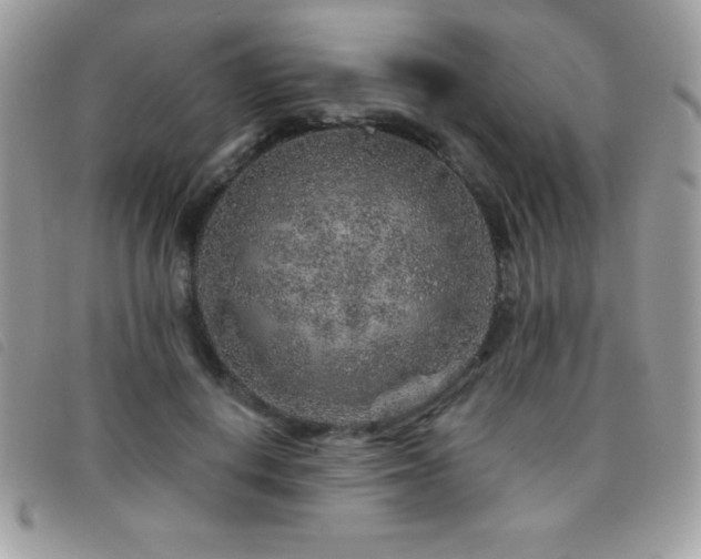 X0000095880648200801111134