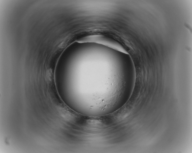 X0000095880649200801111134