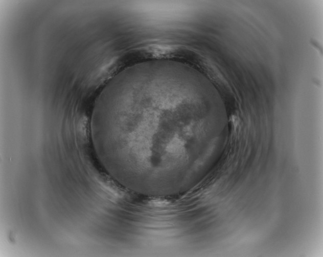 X0000095880650200801111134
