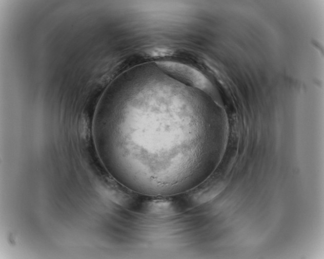 X0000095880651200801111134