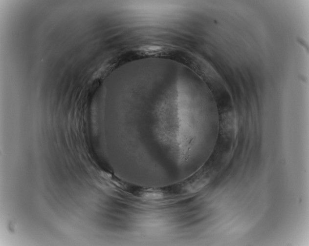 X0000095880653200801111134