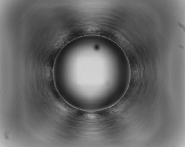 X0000095880654200801111134