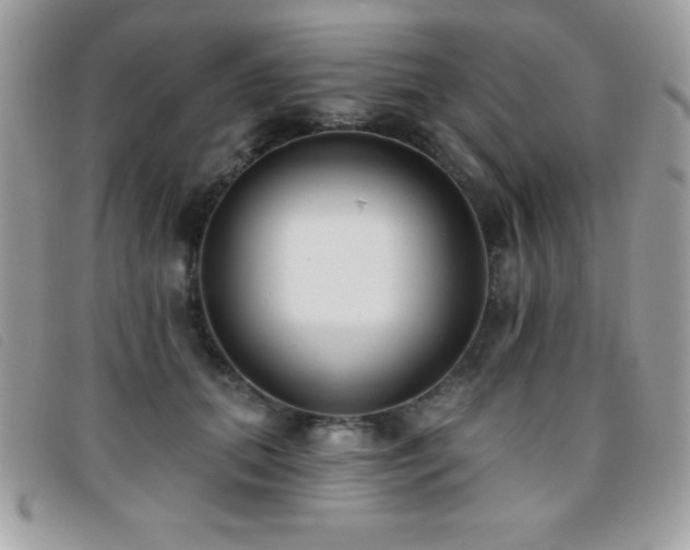 X0000095880655200801111134
