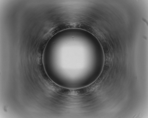 X0000095880656200801111134